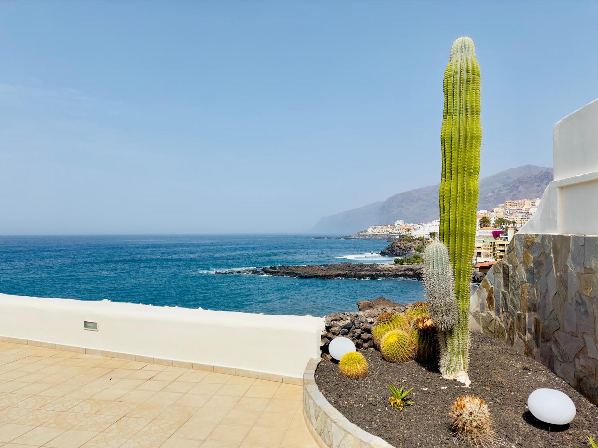 Beachfront Villa And Pool Puerto de Santiago  Exterior foto